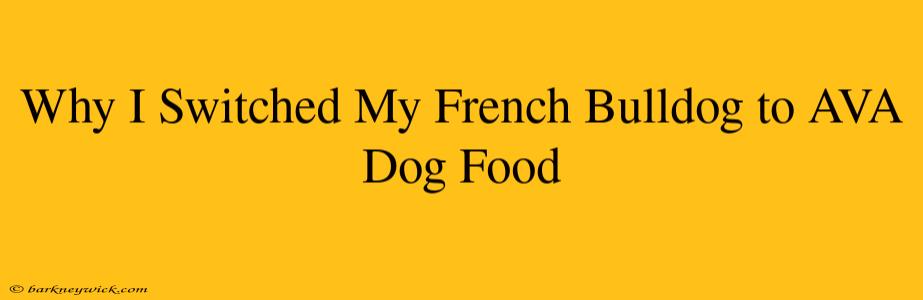 Why I Switched My French Bulldog to AVA Dog Food 