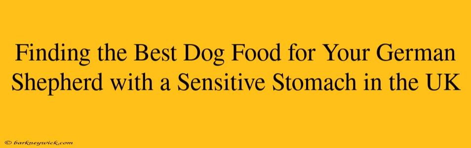 Finding the Best Dog Food for Your German Shepherd with a Sensitive Stomach in the UK