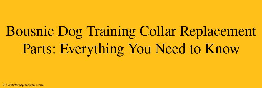 Bousnic Dog Training Collar Replacement Parts: Everything You Need to Know