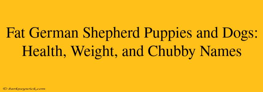 Fat German Shepherd Puppies and Dogs: Health, Weight, and Chubby Names