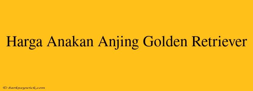 Harga Anakan Anjing Golden Retriever