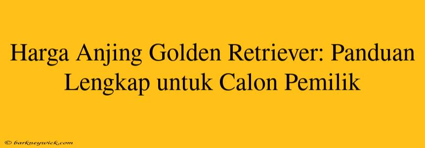 Harga Anjing Golden Retriever: Panduan Lengkap untuk Calon Pemilik