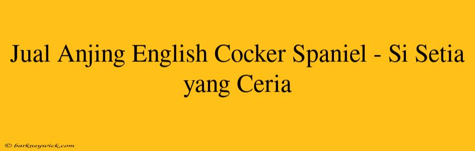 Jual Anjing English Cocker Spaniel - Si Setia yang Ceria 