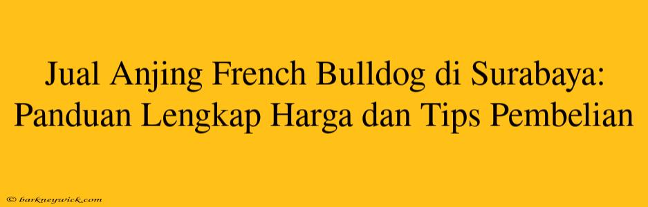 Jual Anjing French Bulldog di Surabaya: Panduan Lengkap Harga dan Tips Pembelian