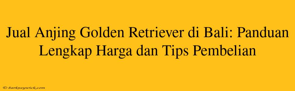 Jual Anjing Golden Retriever di Bali: Panduan Lengkap Harga dan Tips Pembelian