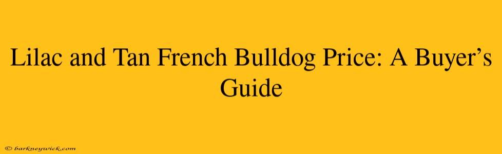 Lilac and Tan French Bulldog Price: A Buyer’s Guide