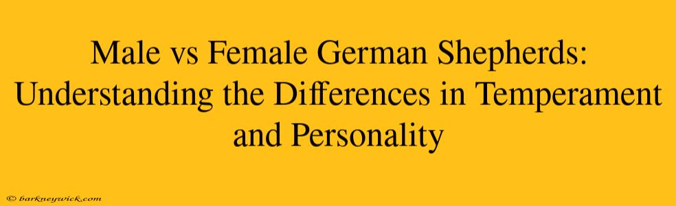 Male vs Female German Shepherds: Understanding the Differences in Temperament and Personality