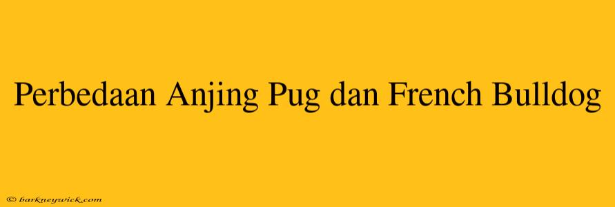 Perbedaan Anjing Pug dan French Bulldog