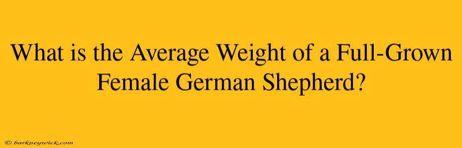 What is the Average Weight of a Full-Grown Female German Shepherd?