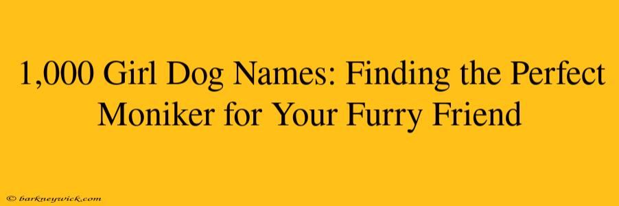 1,000 Girl Dog Names: Finding the Perfect Moniker for Your Furry Friend