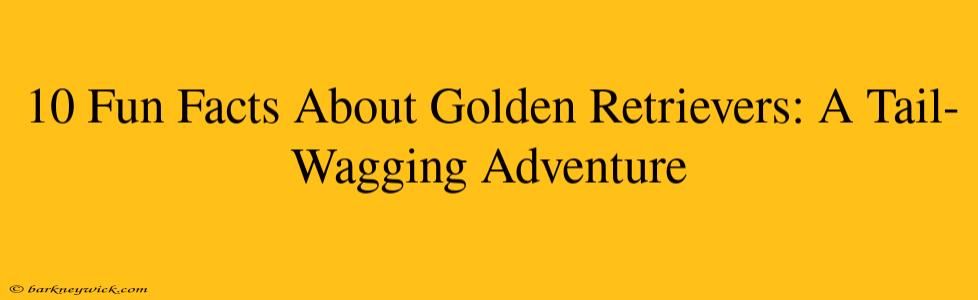 10 Fun Facts About Golden Retrievers: A Tail-Wagging Adventure