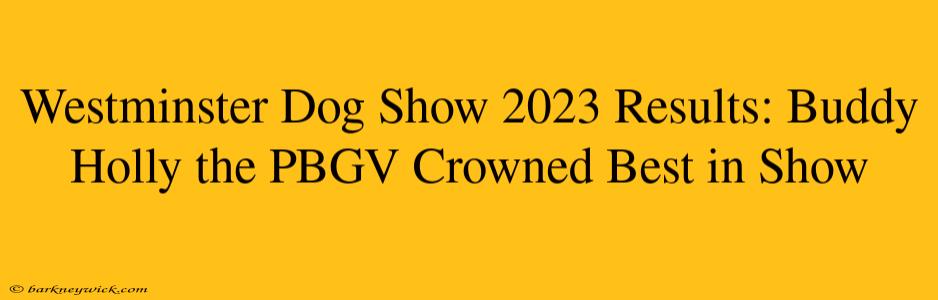 Westminster Dog Show 2023 Results: Buddy Holly the PBGV Crowned Best in Show