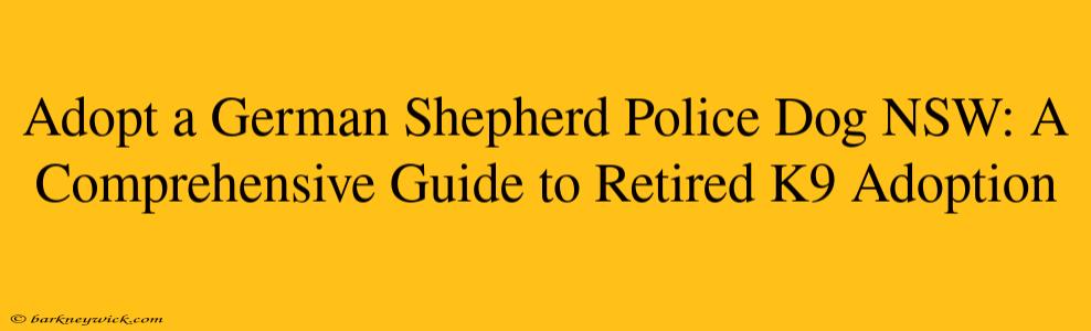 Adopt a German Shepherd Police Dog NSW: A Comprehensive Guide to Retired K9 Adoption