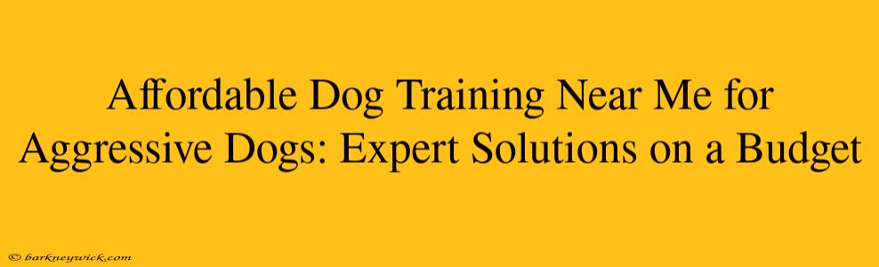 Affordable Dog Training Near Me for Aggressive Dogs: Expert Solutions on a Budget