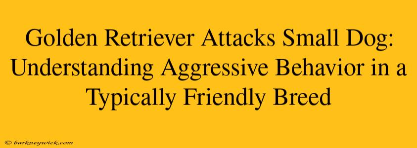 Golden Retriever Attacks Small Dog: Understanding Aggressive Behavior in a Typically Friendly Breed