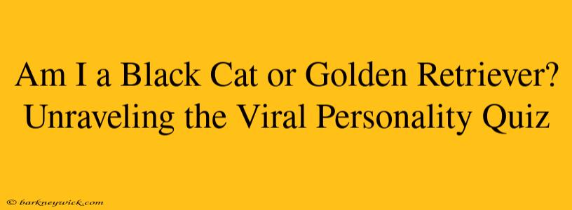 Am I a Black Cat or Golden Retriever? Unraveling the Viral Personality Quiz