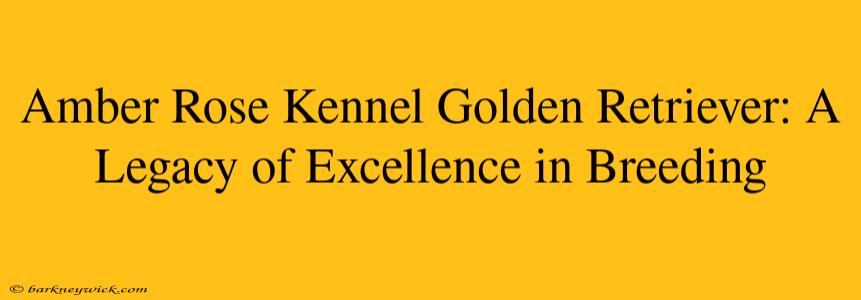 Amber Rose Kennel Golden Retriever: A Legacy of Excellence in Breeding