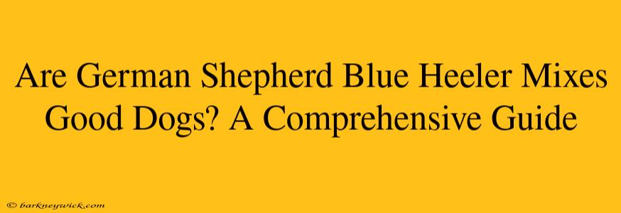 Are German Shepherd Blue Heeler Mixes Good Dogs? A Comprehensive Guide