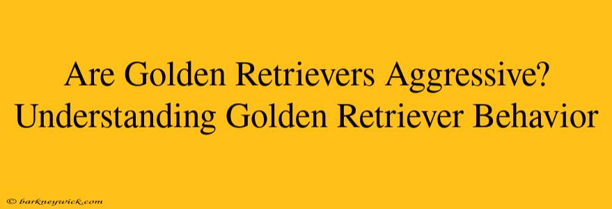 Are Golden Retrievers Aggressive? Understanding Golden Retriever Behavior