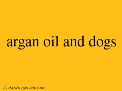 argan oil and dogs