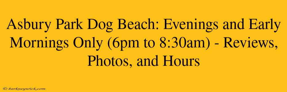 Asbury Park Dog Beach: Evenings and Early Mornings Only (6pm to 8:30am) - Reviews, Photos, and Hours