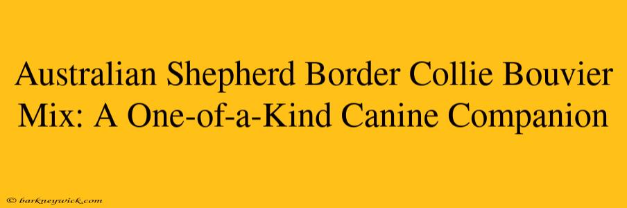 Australian Shepherd Border Collie Bouvier Mix: A One-of-a-Kind Canine Companion