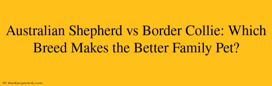 Australian Shepherd vs Border Collie: Which Breed Makes the Better Family Pet?