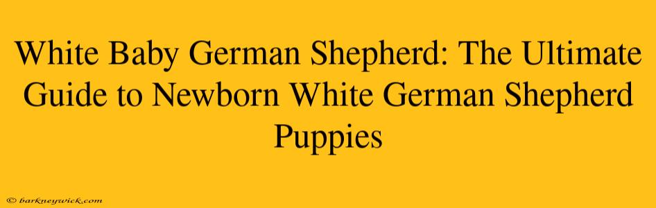 White Baby German Shepherd: The Ultimate Guide to Newborn White German Shepherd Puppies