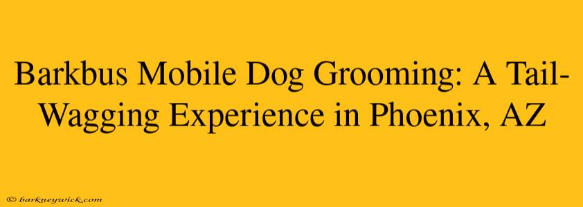 Barkbus Mobile Dog Grooming: A Tail-Wagging Experience in Phoenix, AZ