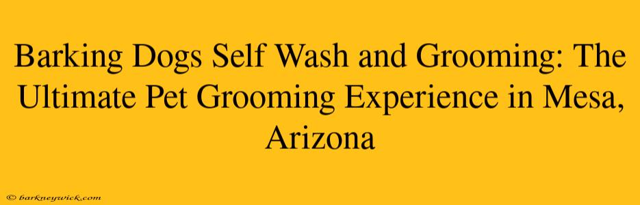 Barking Dogs Self Wash and Grooming: The Ultimate Pet Grooming Experience in Mesa, Arizona