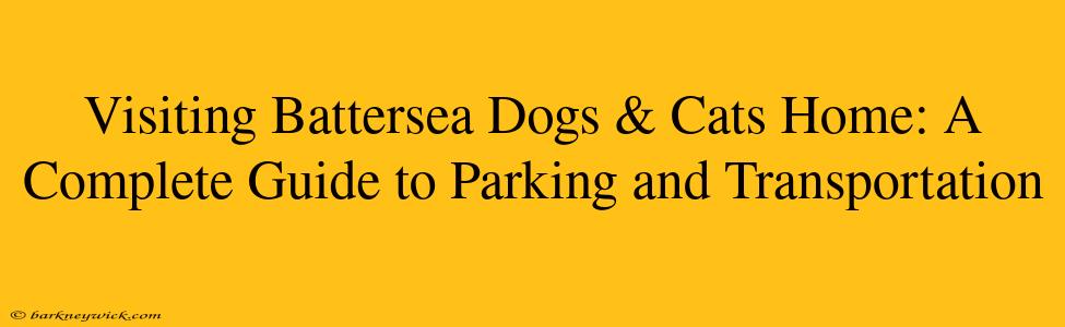 Visiting Battersea Dogs & Cats Home: A Complete Guide to Parking and Transportation