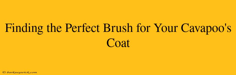 Finding the Perfect Brush for Your Cavapoo's Coat