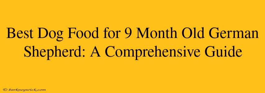 Best Dog Food for 9 Month Old German Shepherd: A Comprehensive Guide