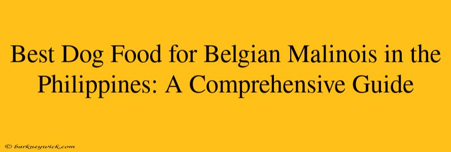 Best Dog Food for Belgian Malinois in the Philippines: A Comprehensive Guide