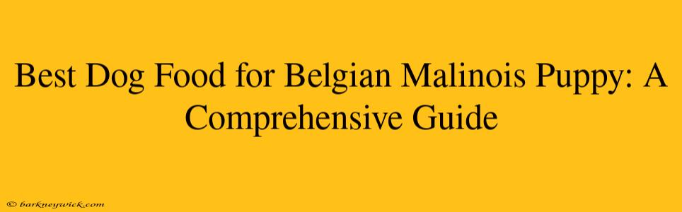 Best Dog Food for Belgian Malinois Puppy: A Comprehensive Guide