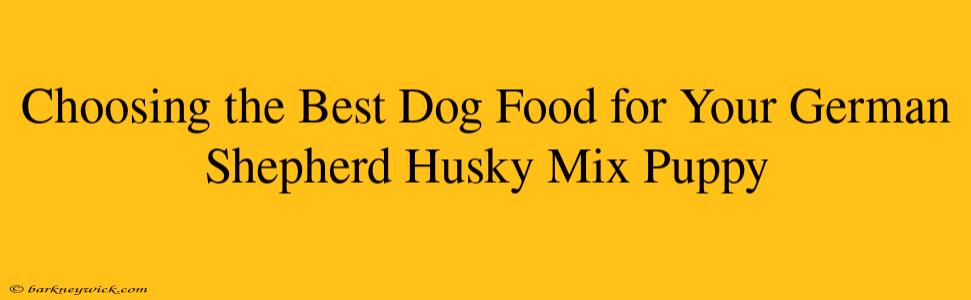 Choosing the Best Dog Food for Your German Shepherd Husky Mix Puppy