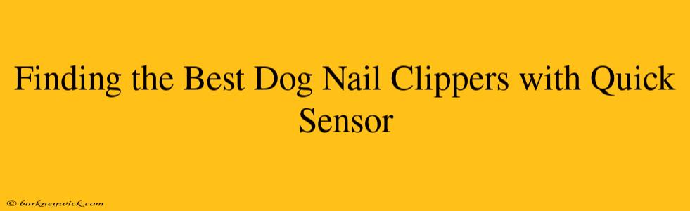 Finding the Best Dog Nail Clippers with Quick Sensor