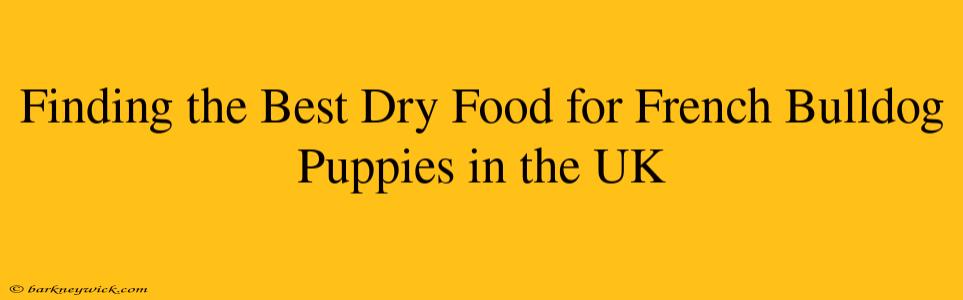 Finding the Best Dry Food for French Bulldog Puppies in the UK