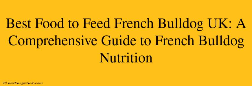 Best Food to Feed French Bulldog UK: A Comprehensive Guide to French Bulldog Nutrition