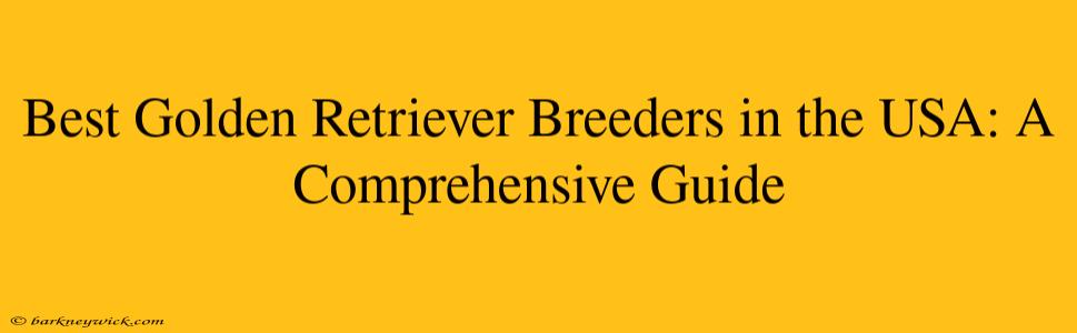 Best Golden Retriever Breeders in the USA: A Comprehensive Guide