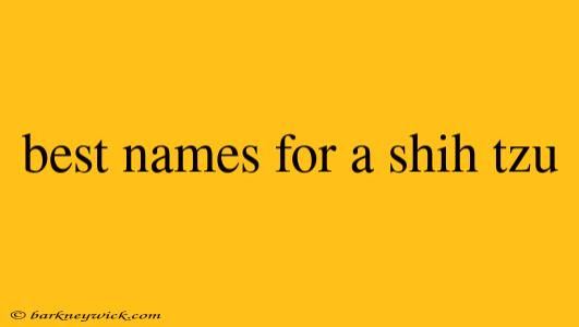 best names for a shih tzu