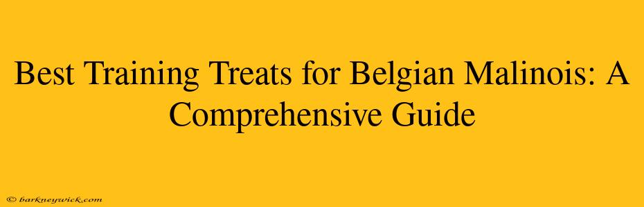 Best Training Treats for Belgian Malinois: A Comprehensive Guide