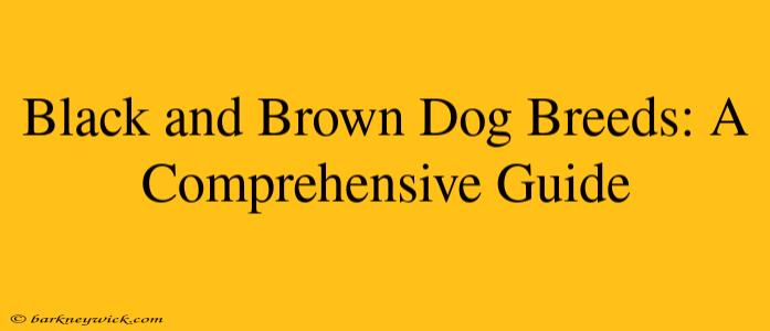 Black and Brown Dog Breeds: A Comprehensive Guide