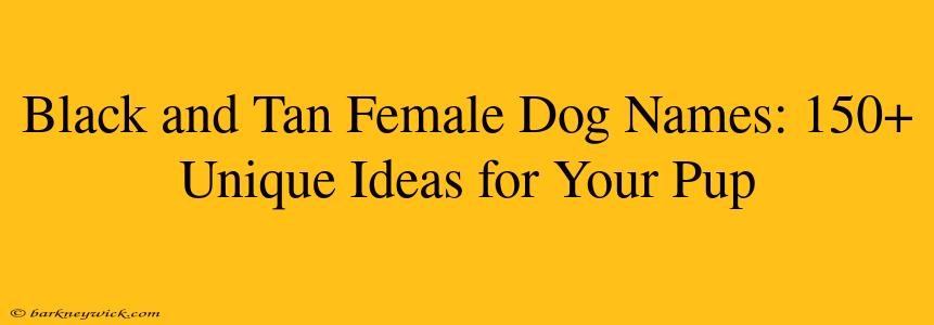 Black and Tan Female Dog Names: 150+ Unique Ideas for Your Pup