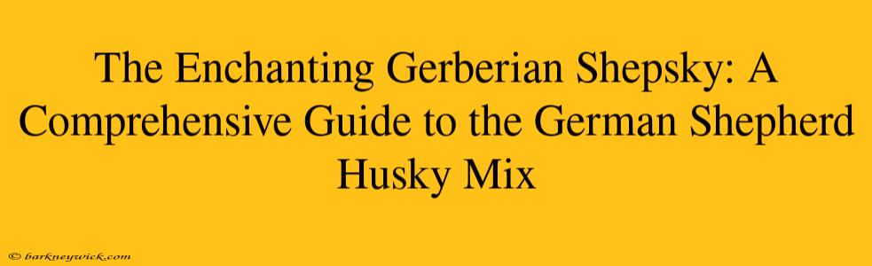 The Enchanting Gerberian Shepsky: A Comprehensive Guide to the German Shepherd Husky Mix