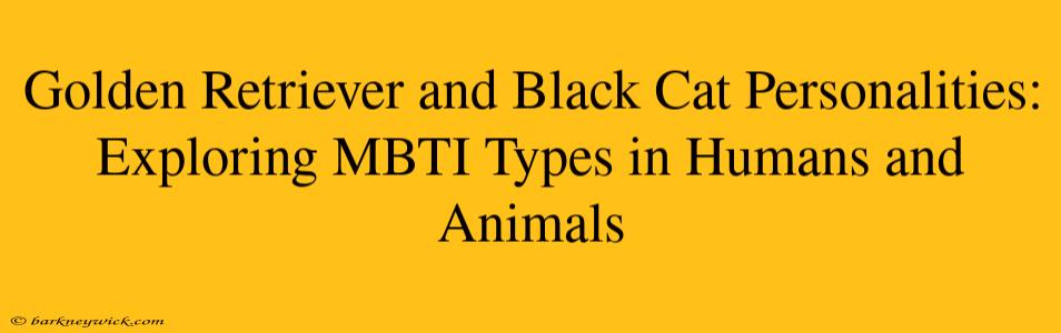 Golden Retriever and Black Cat Personalities: Exploring MBTI Types in Humans and Animals