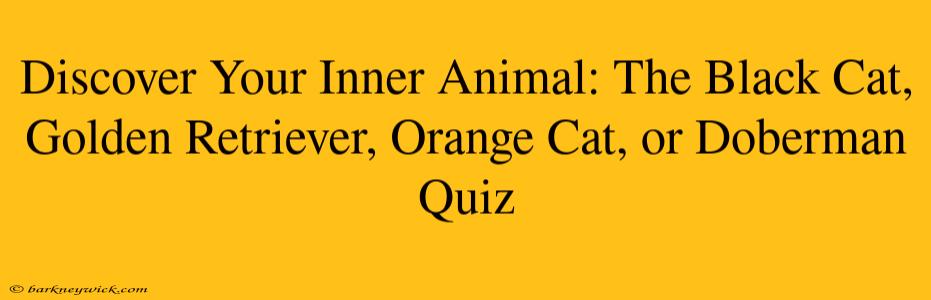 Discover Your Inner Animal: The Black Cat, Golden Retriever, Orange Cat, or Doberman Quiz