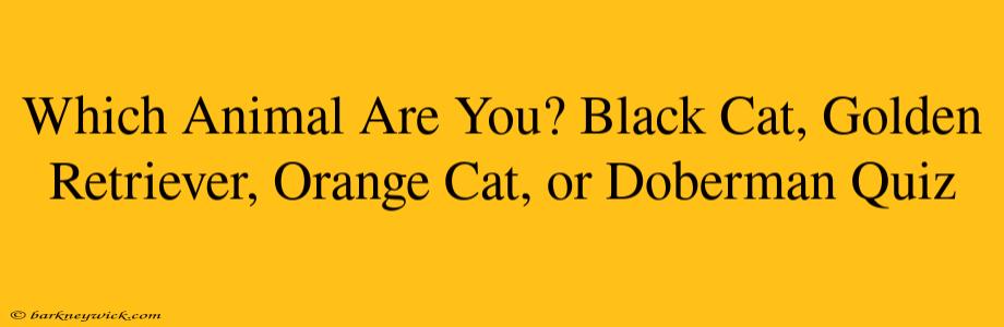 Which Animal Are You? Black Cat, Golden Retriever, Orange Cat, or Doberman Quiz