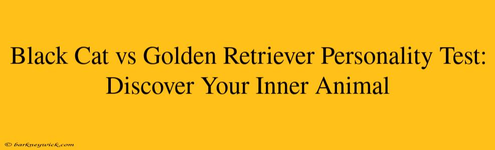 Black Cat vs Golden Retriever Personality Test: Discover Your Inner Animal