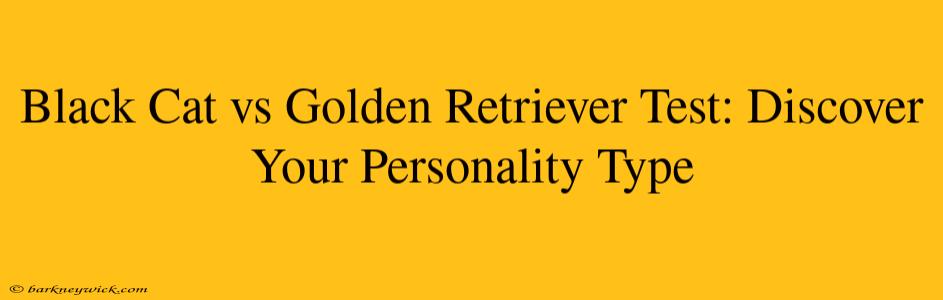 Black Cat vs Golden Retriever Test: Discover Your Personality Type